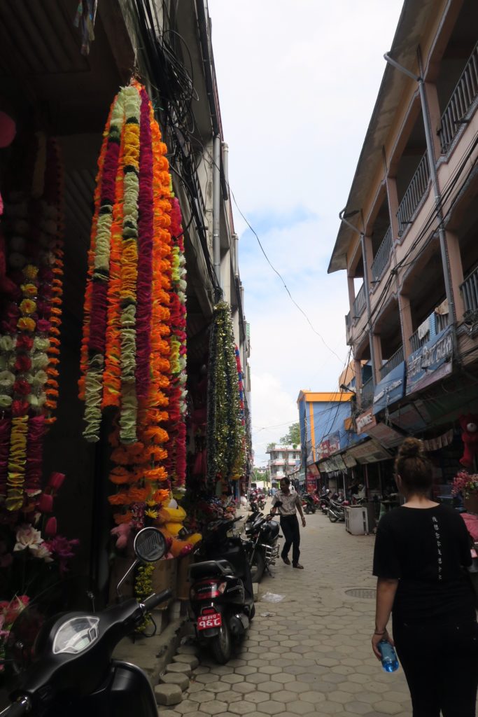 Chitwan Nepal