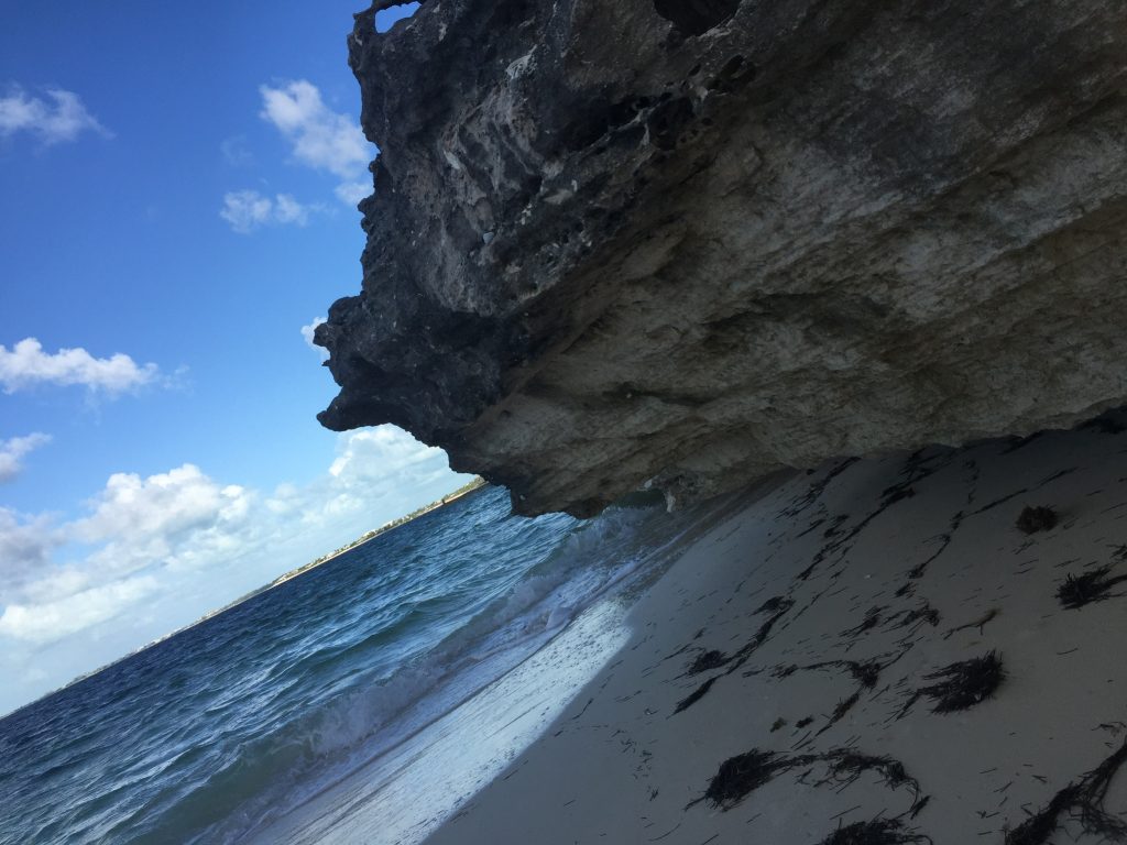 Boulder and Ocean