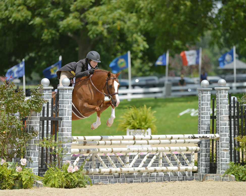 Peter National Pony Finals